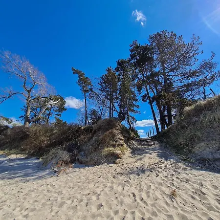 Pod Brzozami Let's Sea アパート Gąski