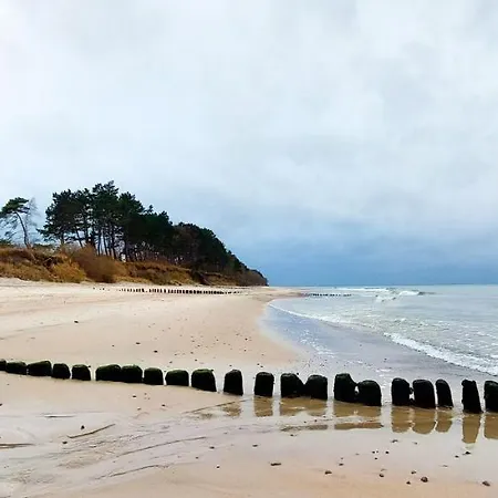 Pod Brzozami Let's Sea *