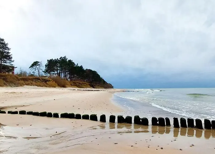 Pod Brzozami Let's Sea *