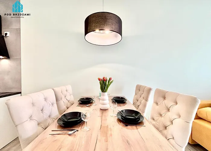 Pod Brzozami Let's Sea *