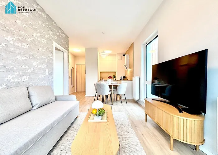 Pod Brzozami Let's Sea